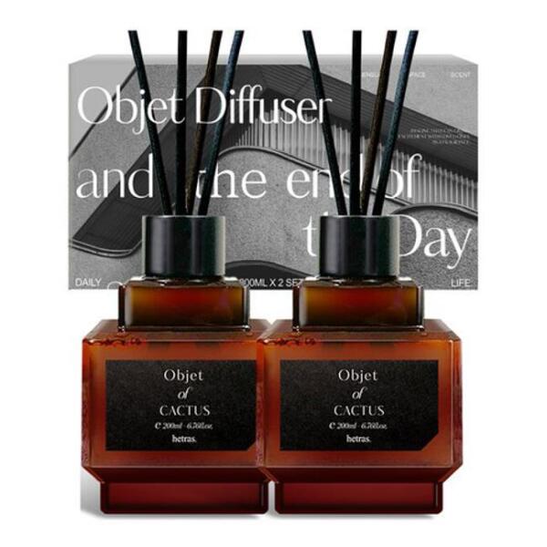 Objet Diffuser - Cactus