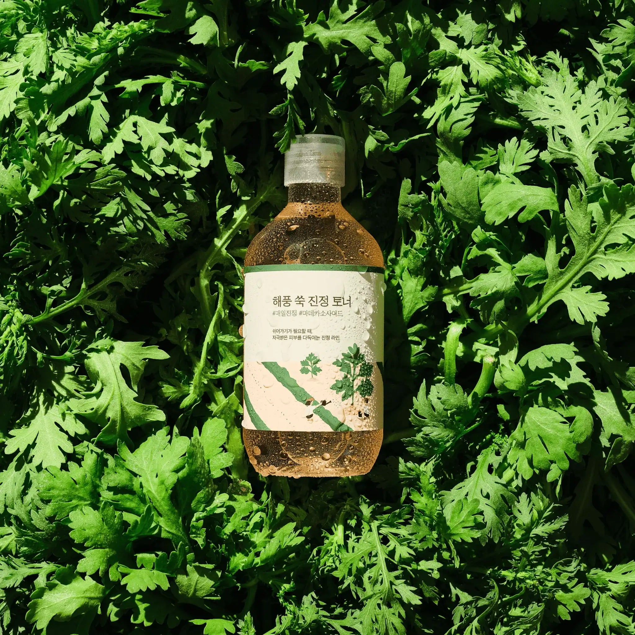 MUGWORT CALMING TONER_300ml