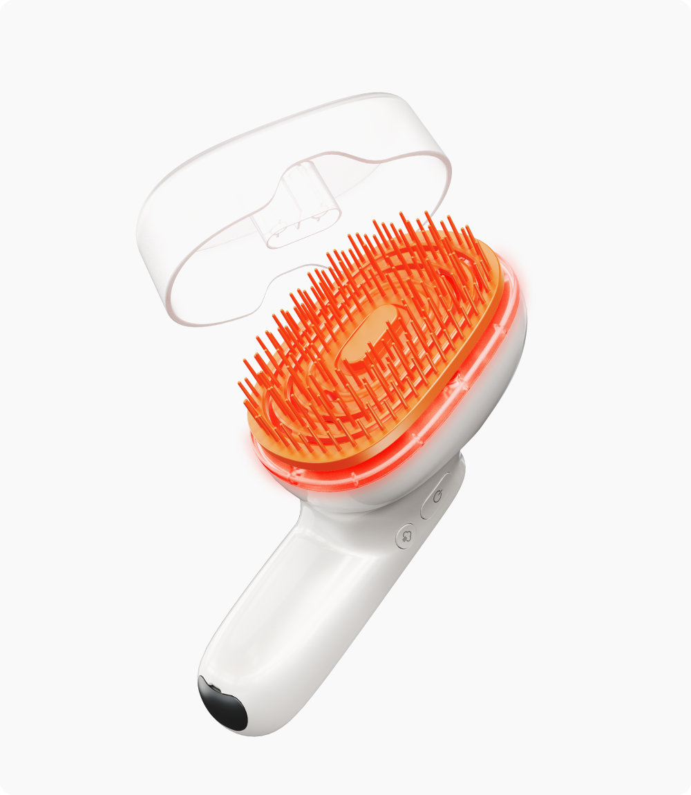 lilyeve Brush Steam Booster